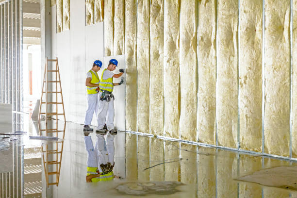 Best Eco-Friendly Insulation in Welch, WV